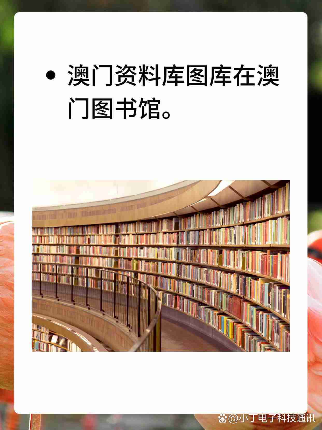 澳门六开奖49图库,准确答案解释落实_3DM4121,127.13