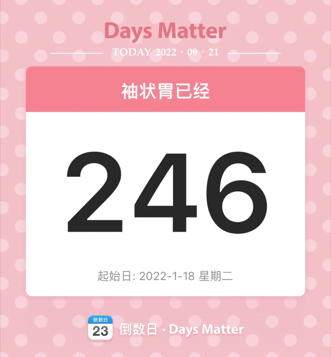 澳门246天天天彩免费全年,效能解答解释落实_游戏版121,127.12