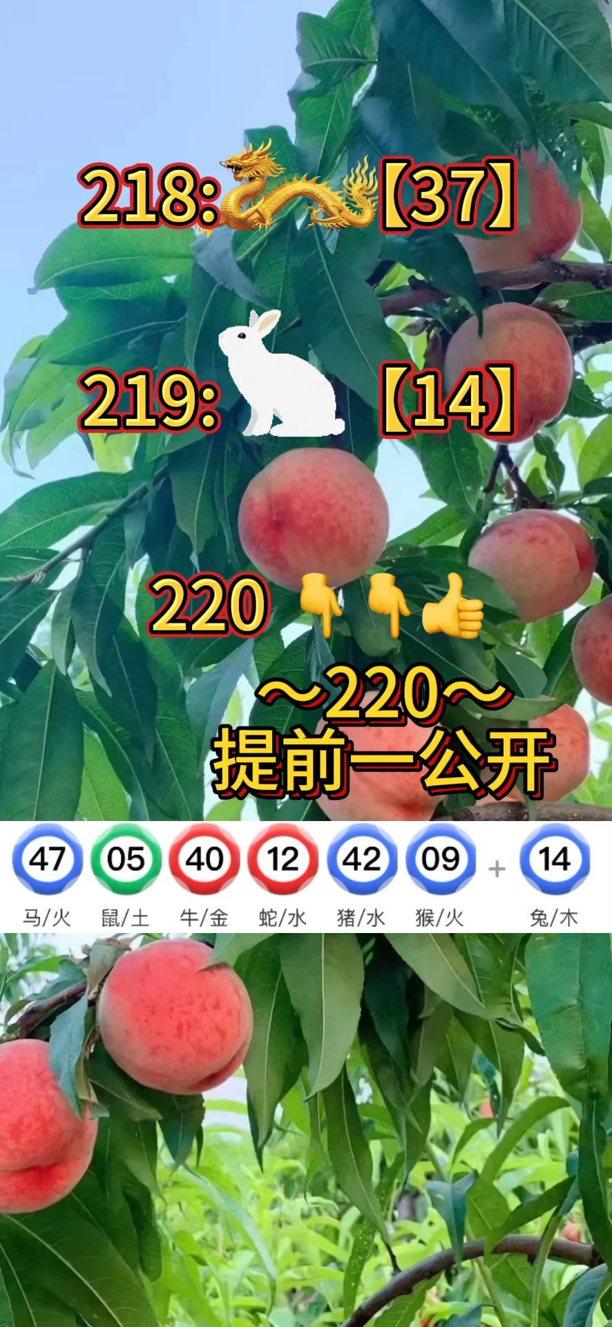 澳门全年免费资料大全集,数据解释落实_整合版121,127.13