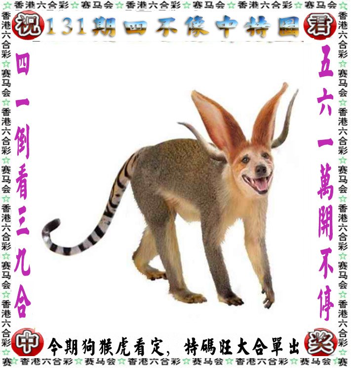 49图库澳门免费的资料,资深解答解释落实_特别款72.21127.13.