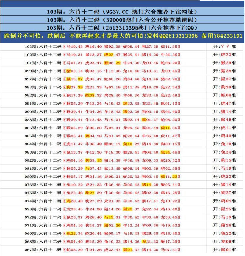 澳门118资料,数据整合方案实施_投资版121,127.13