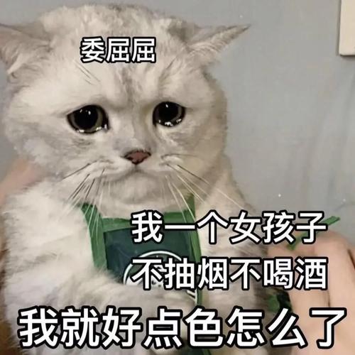 2025全年資料免費大全和偷女友7个包卖11万与偷女友7个包卖11万判几年