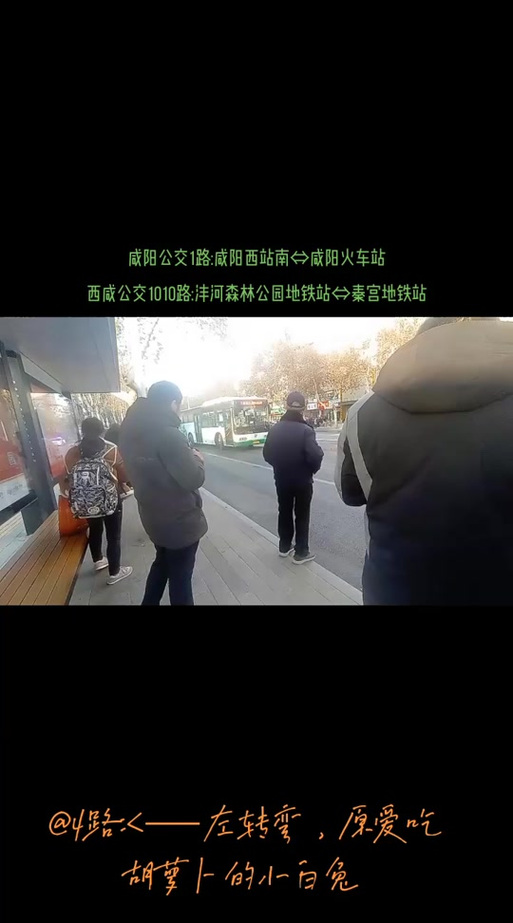 新澳2025今晚特马开奖号码和公交站椅子仅手机高与公交站台椅子