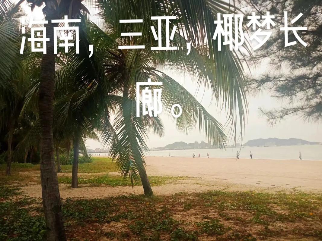 新澳天天开奖资料大全正版和三亚景区接驳车收费与三亚景区接驳车收费标准