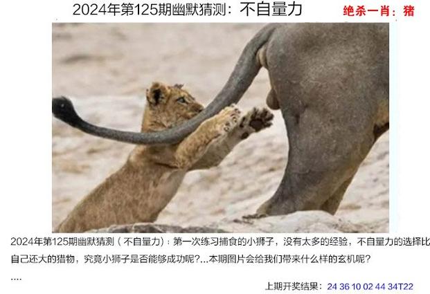 澳门王中王心水王中王和恋爱3月花10万被删与恋爱三个月花了20万